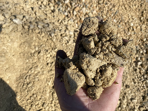 Hand holding dirt with rocks